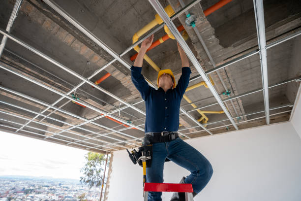 Best Plumbing Services Near Me  in Buhler, KS