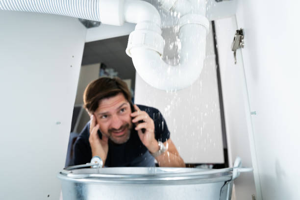 Best Local Plumber Services  in Buhler, KS