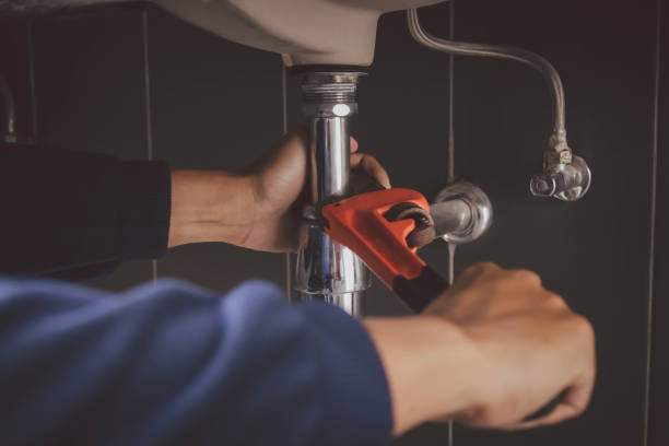 Best Plumbing Inspection Services  in Buhler, KS